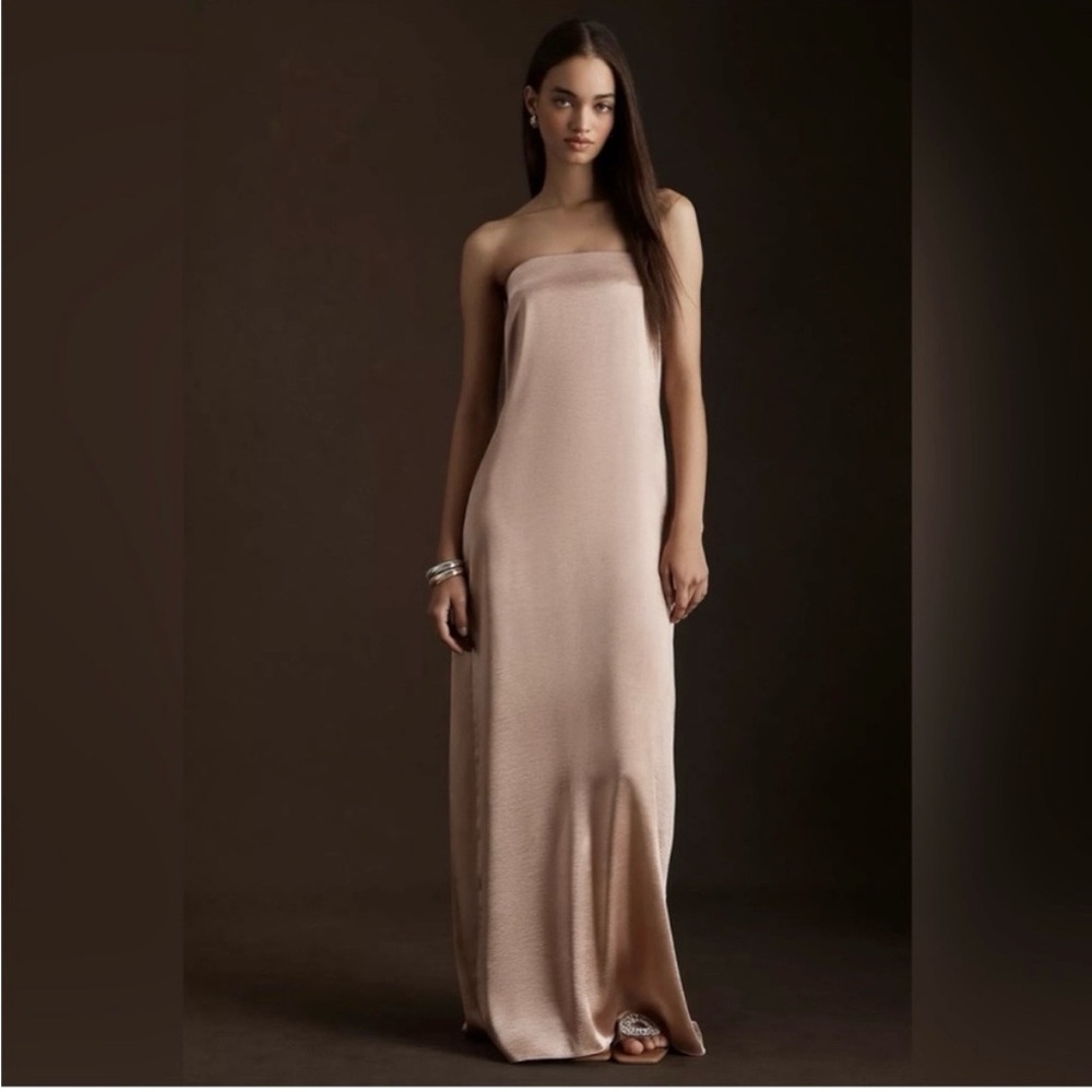 NWT Sachin and Babi Strapless Blush Maxi Dress